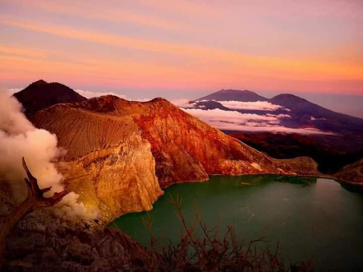 Javalindra Homestay Tour And Travel Banyuwangi  Exterior photo