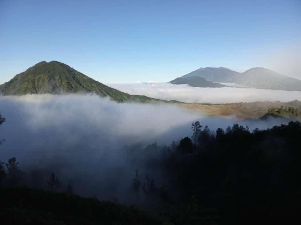 Javalindra Homestay Tour And Travel Banyuwangi  Exterior photo