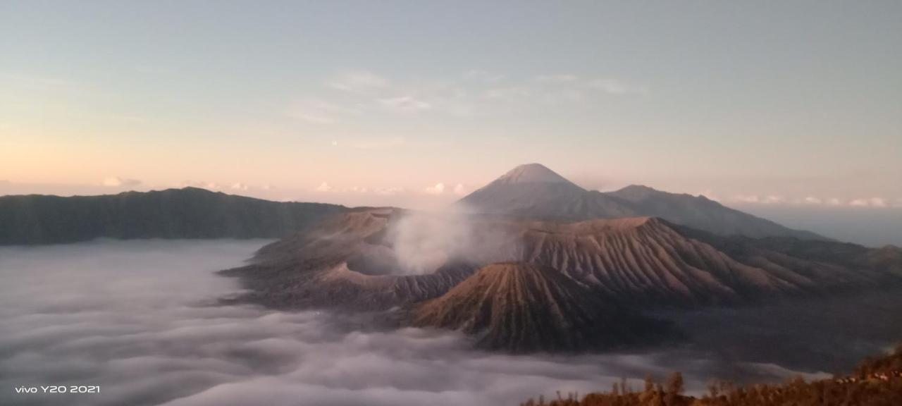 Javalindra Homestay Tour And Travel Banyuwangi  Exterior photo